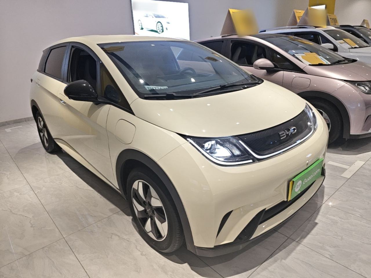 BYD Dolphin - фото 2