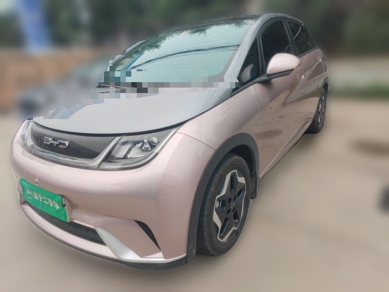 BYD Dolphin - фото 0