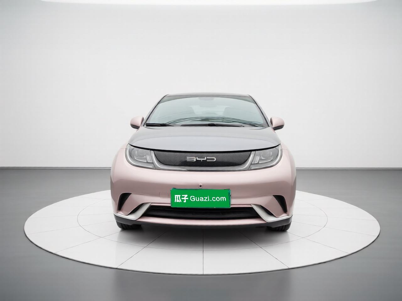 BYD Dolphin - фото 1