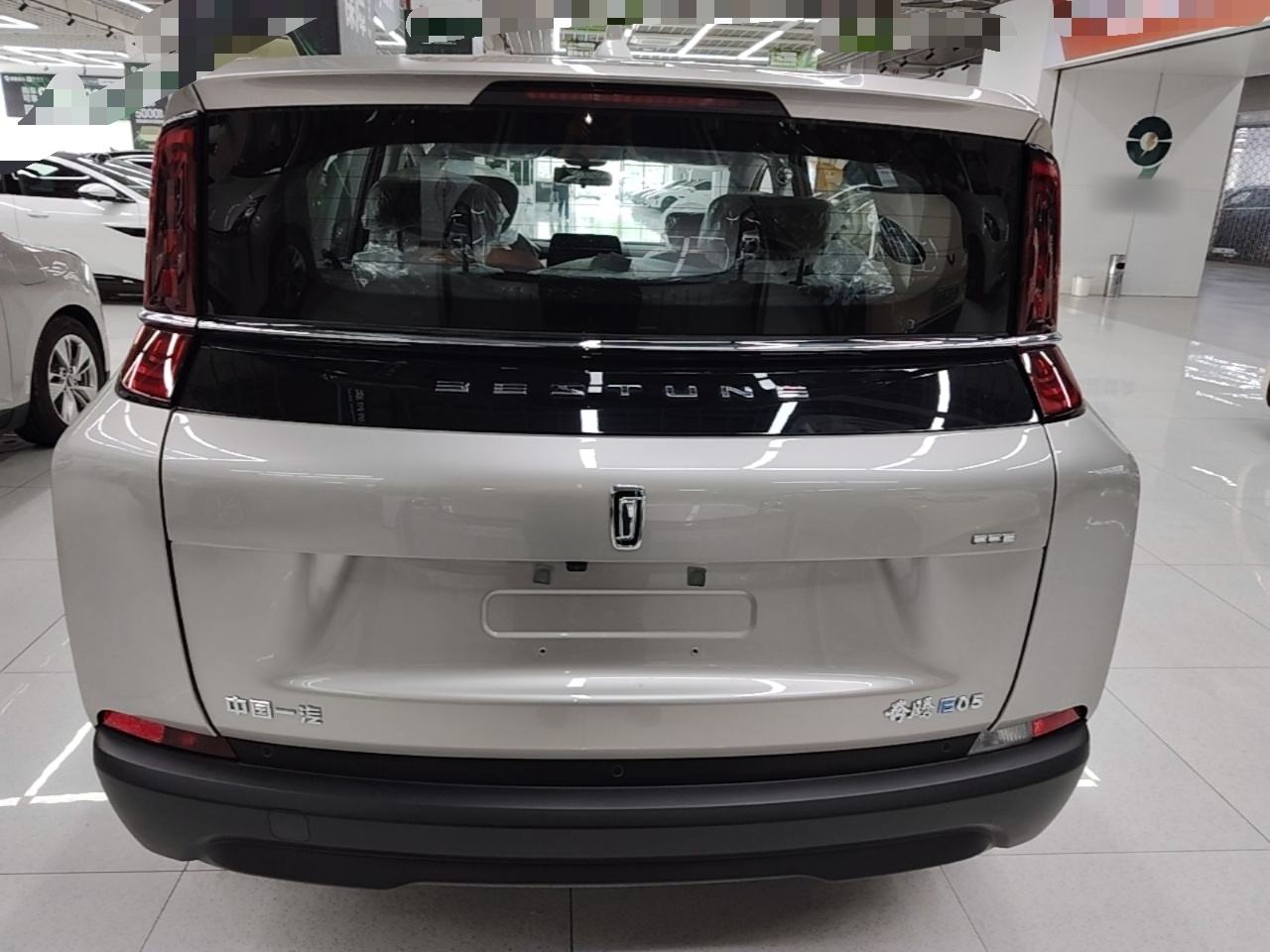 Besturn NAT - фото 4