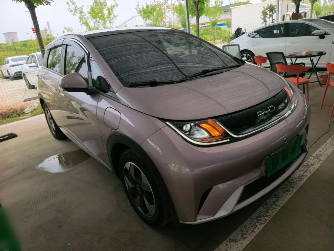BYD Dolphin - фото 2