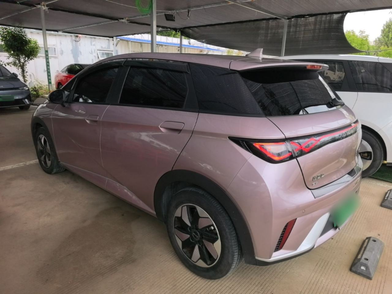 BYD Dolphin - фото 3