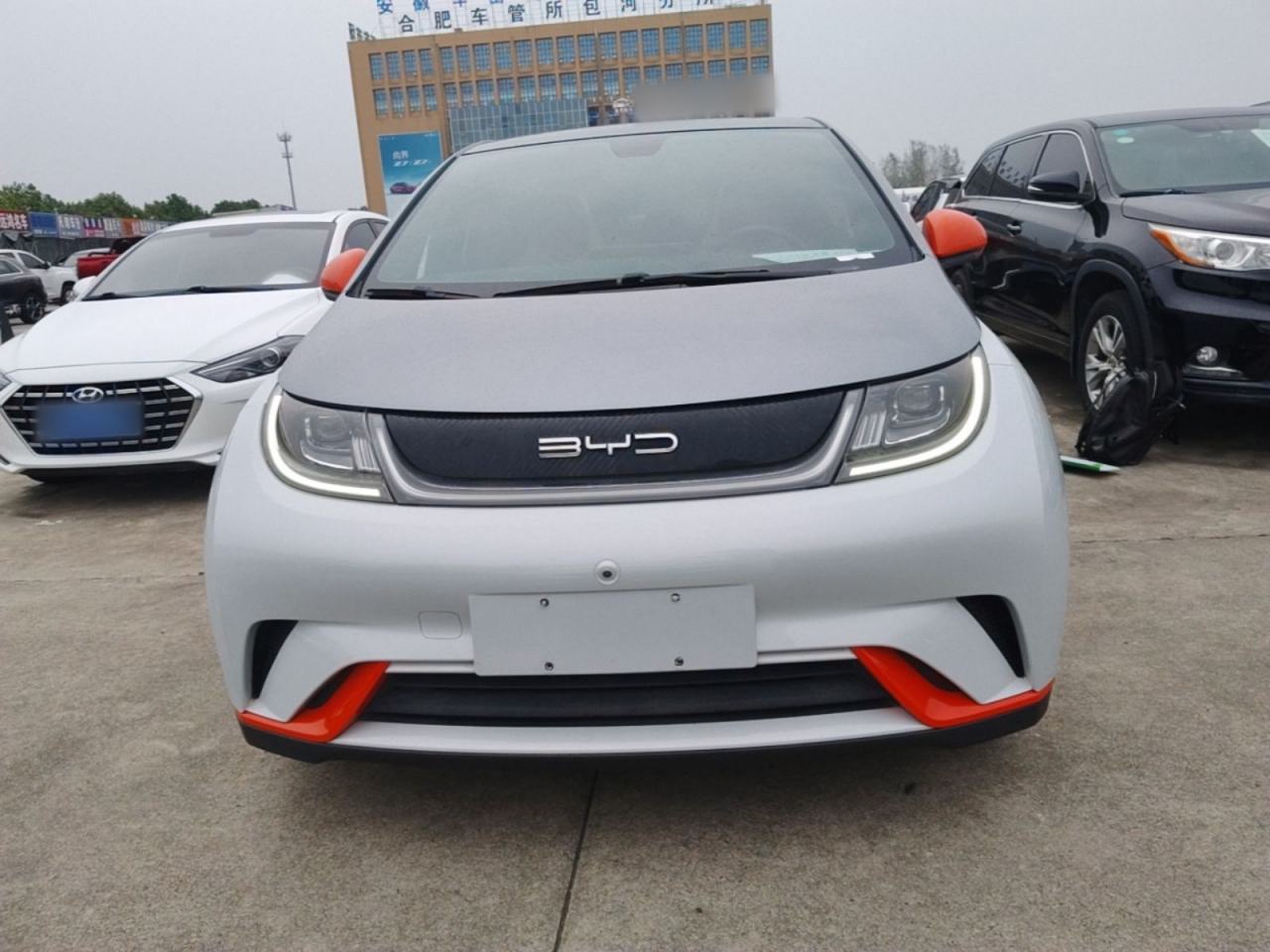 BYD Dolphin - фото 1