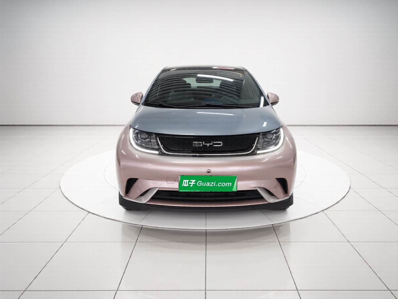 BYD Dolphin - фото 1