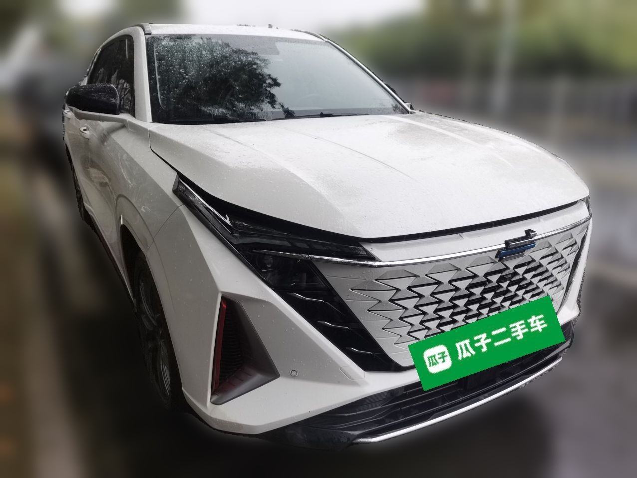 Changan Oshan Z6 - фото 2