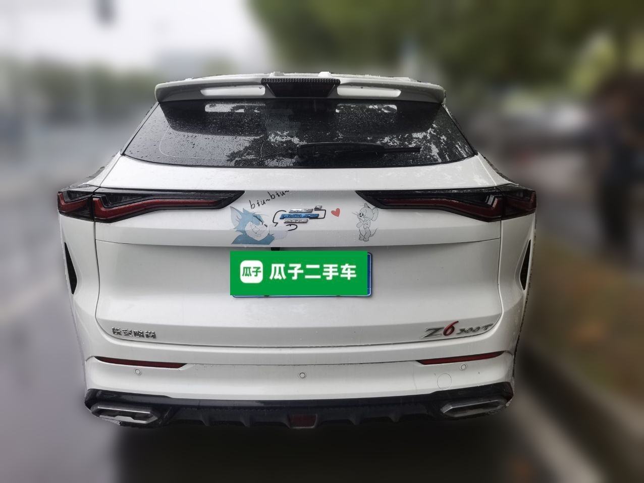 Changan Oshan Z6 - фото 4
