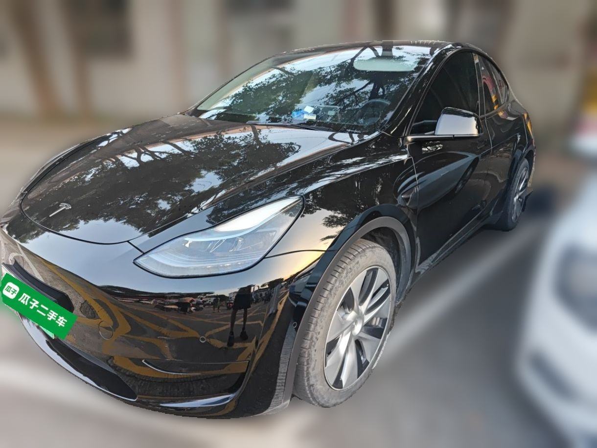 Tesla Model Y - фото 0