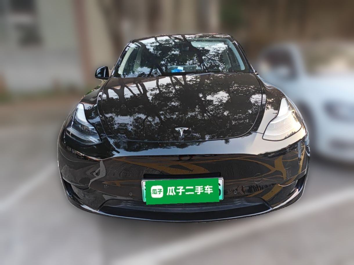 Tesla Model Y - фото 1