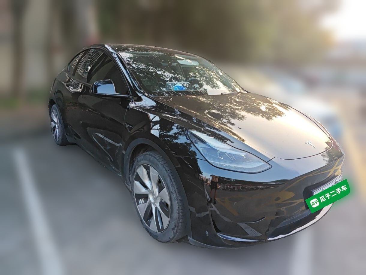 Tesla Model Y - фото 2