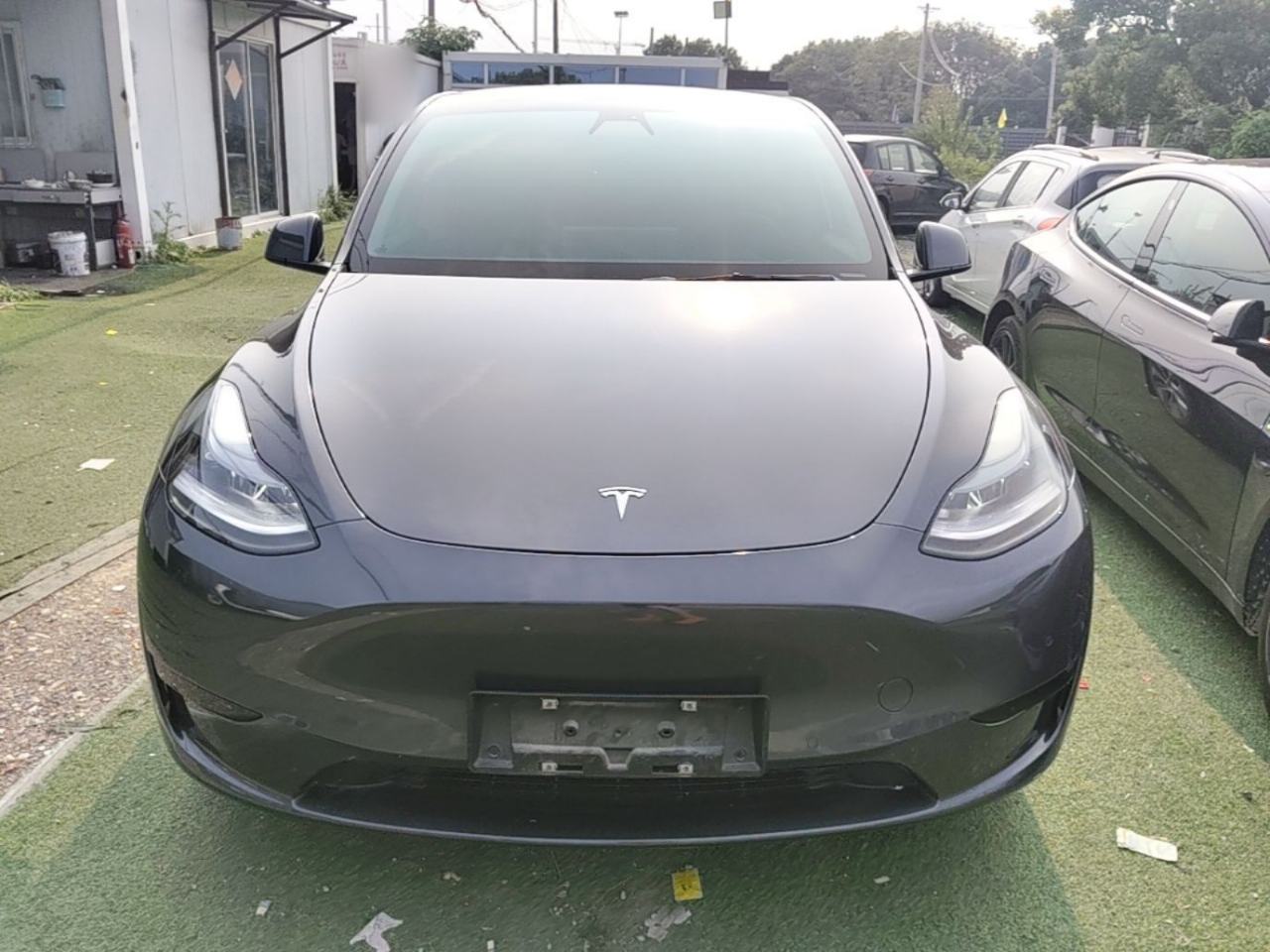 Tesla Model Y - фото 1