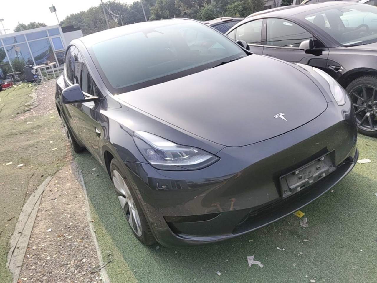 Tesla Model Y - фото 2