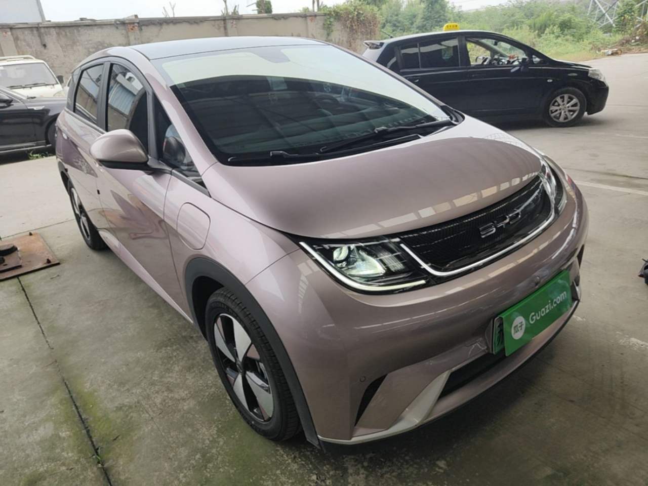 BYD Dolphin - фото 2