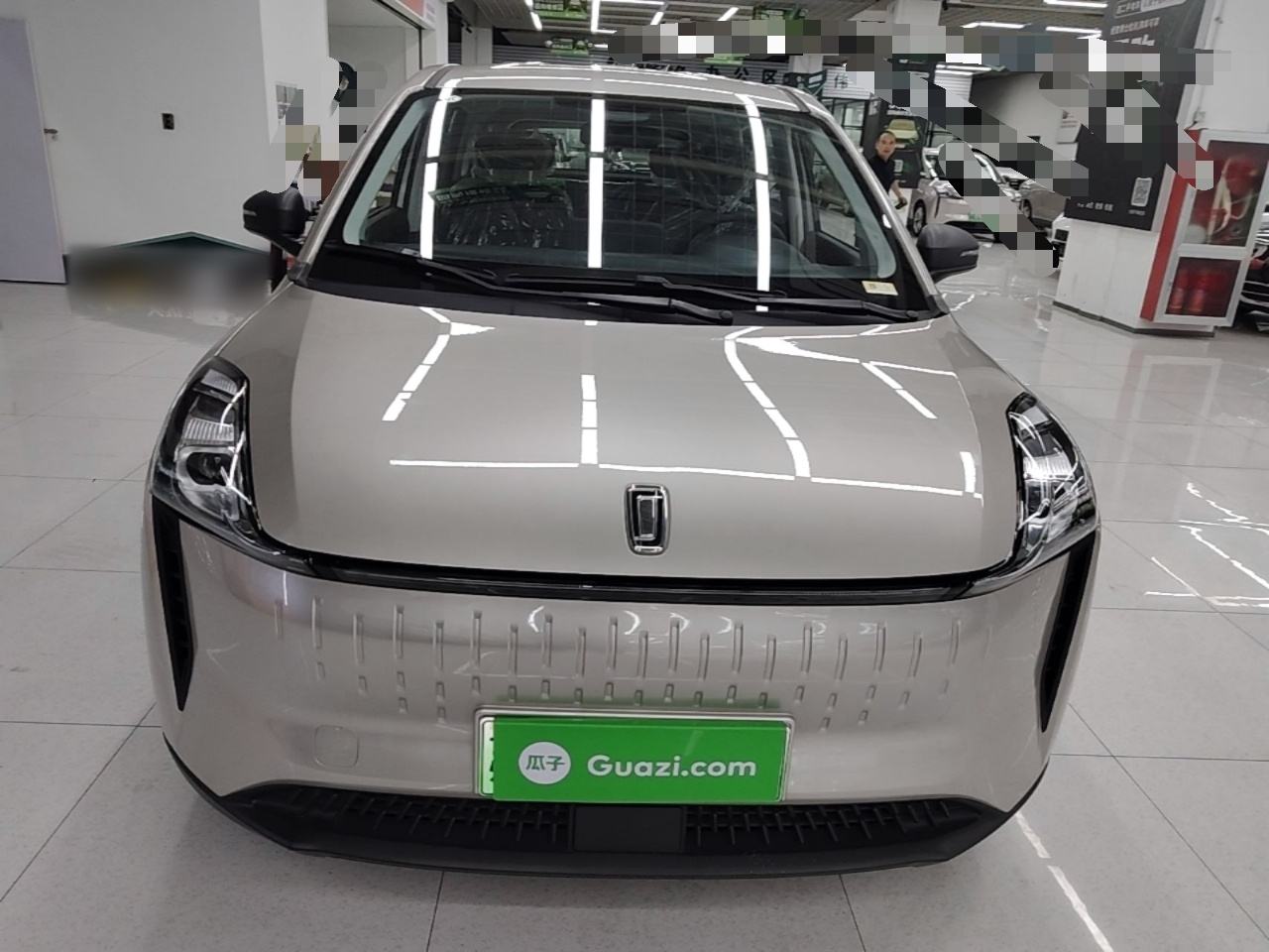 Besturn NAT - фото 1