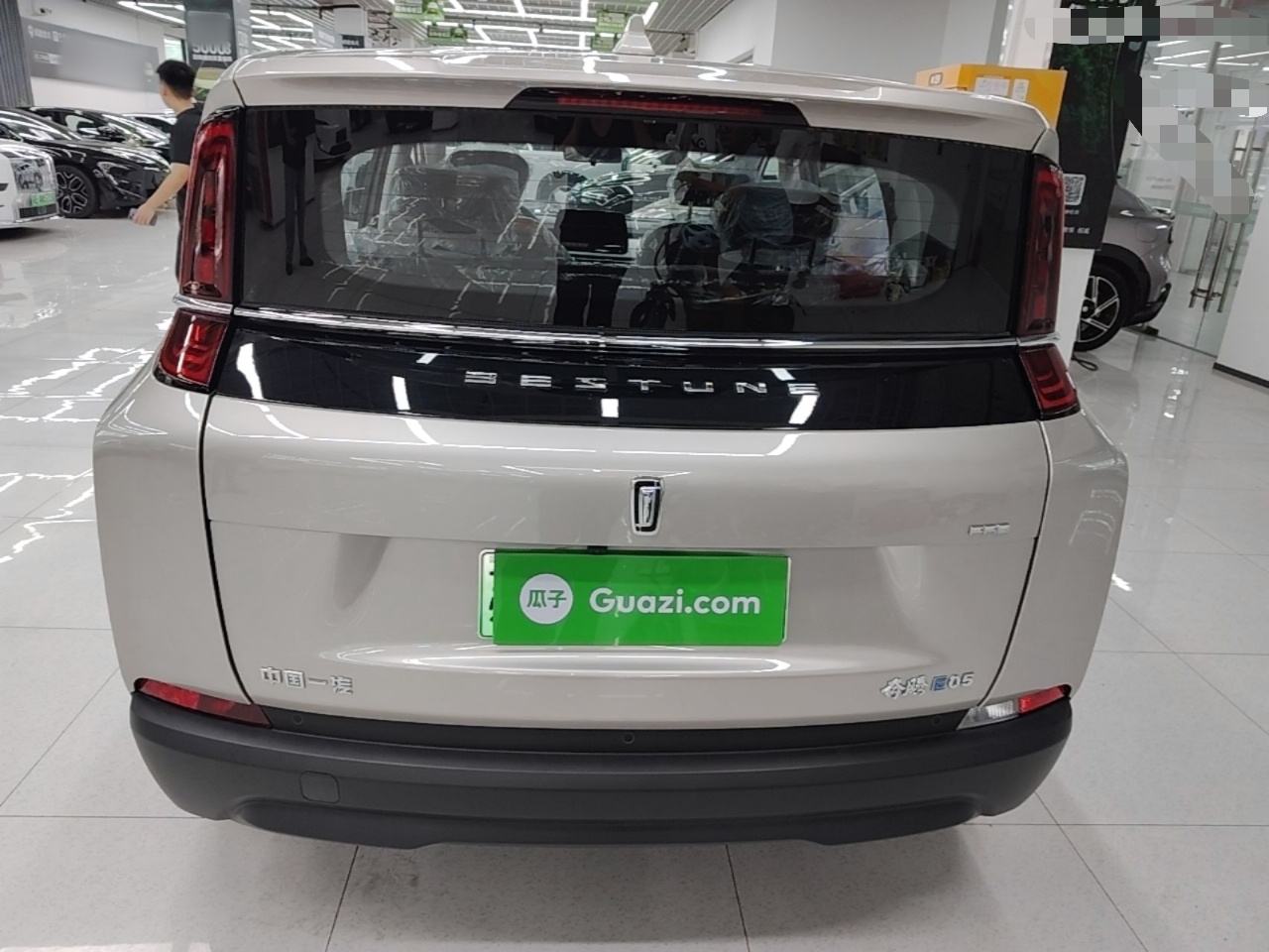 Besturn NAT - фото 2