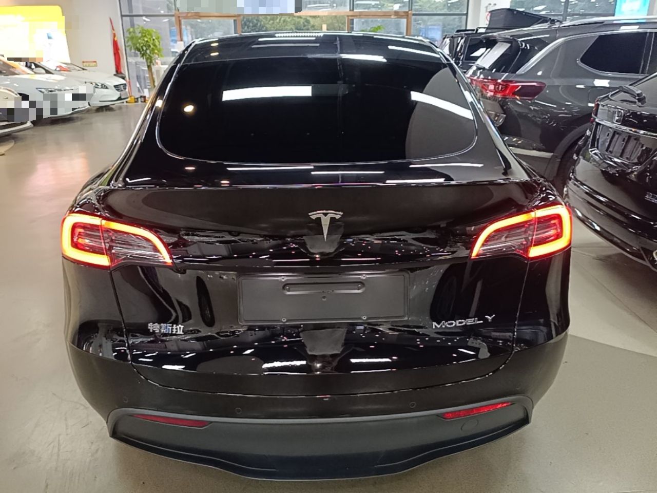 Tesla Model Y - фото 4