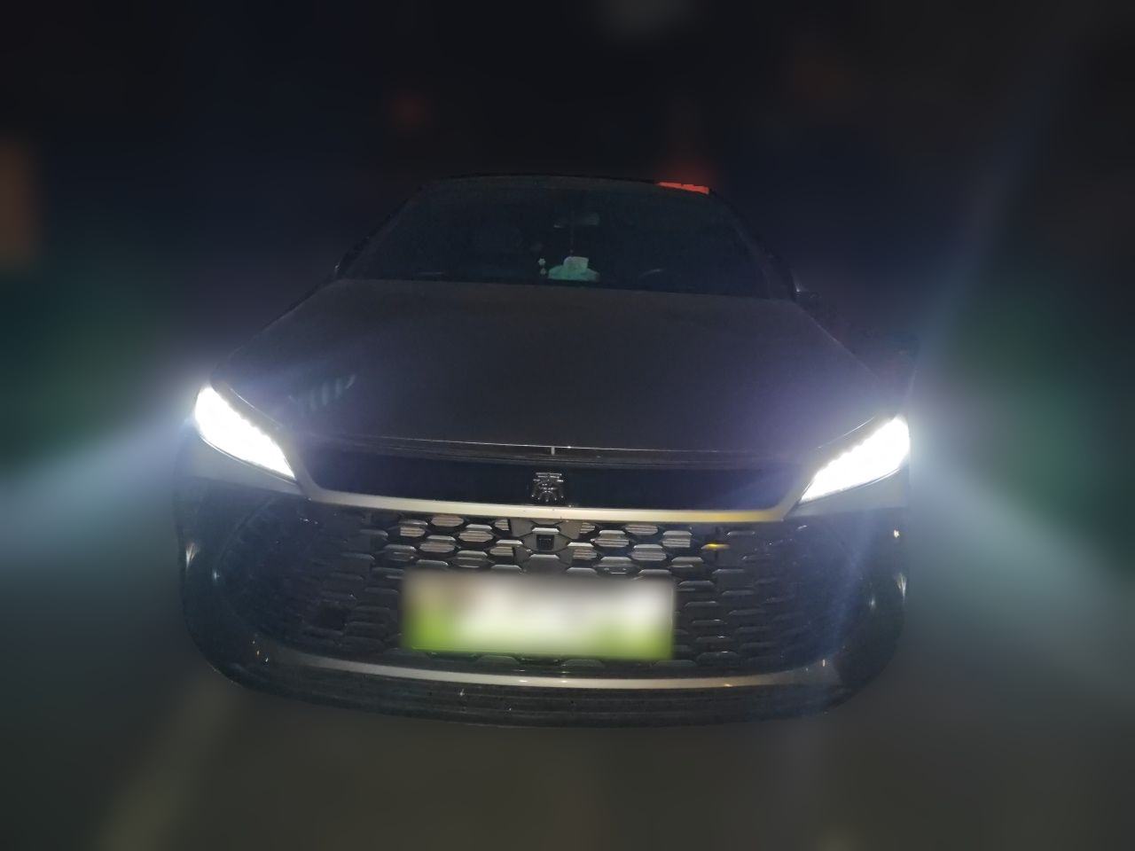 BYD Qin PLUS DM - фото 1