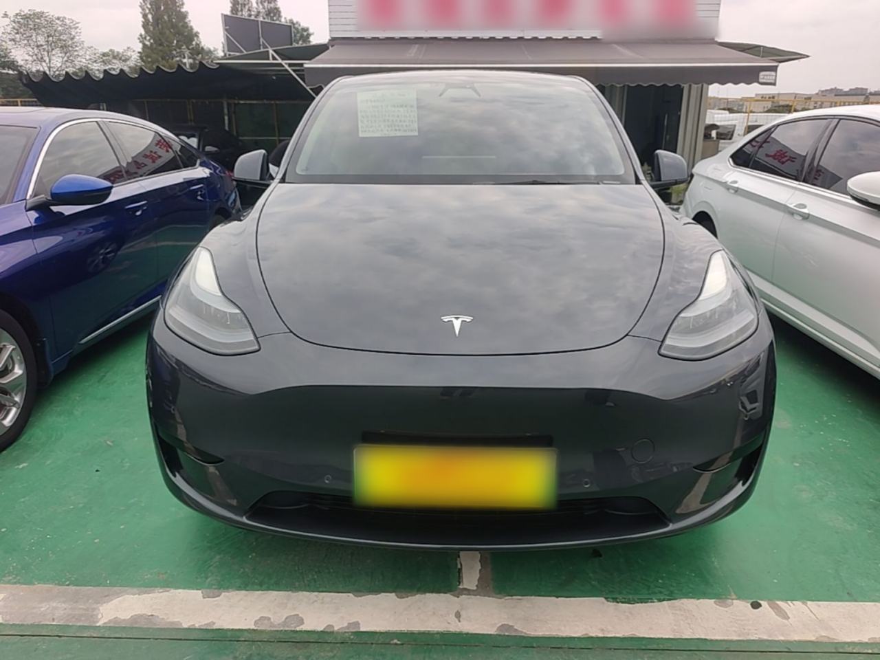 Tesla Model Y - фото 1