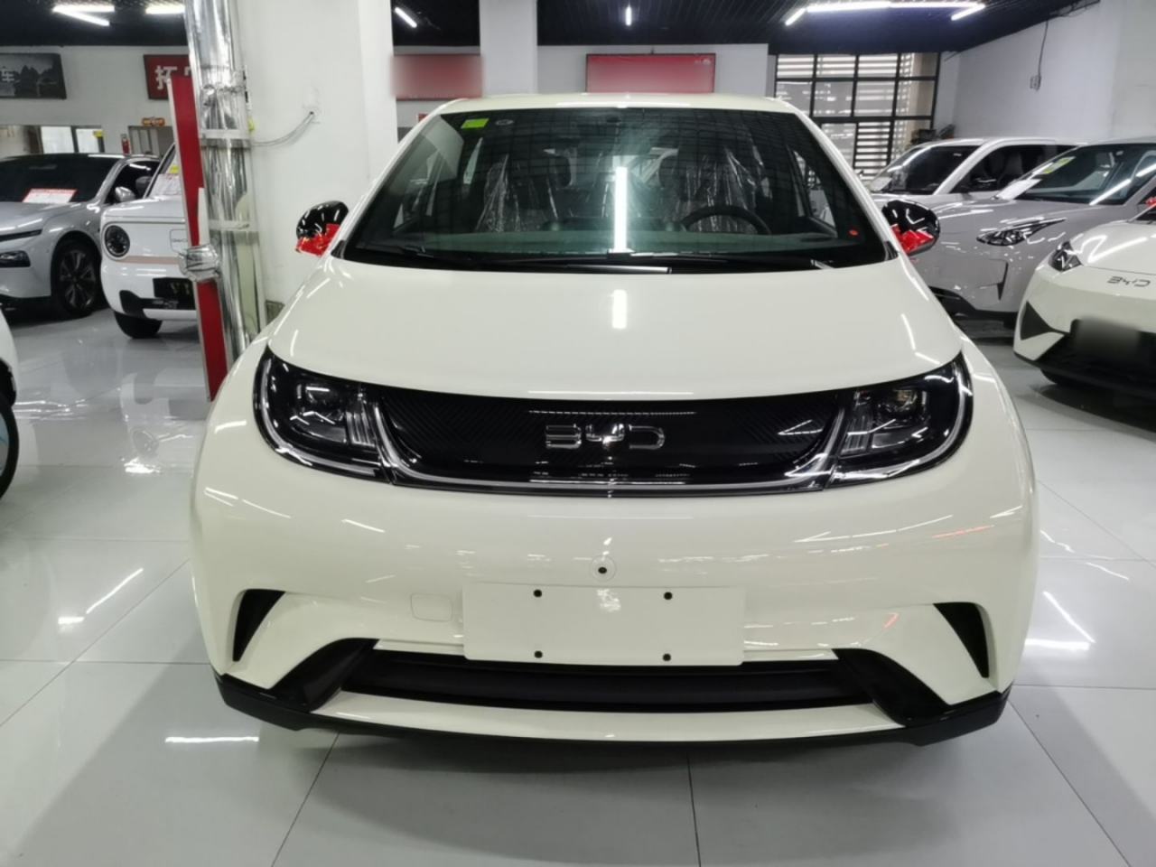 BYD Dolphin - фото 1