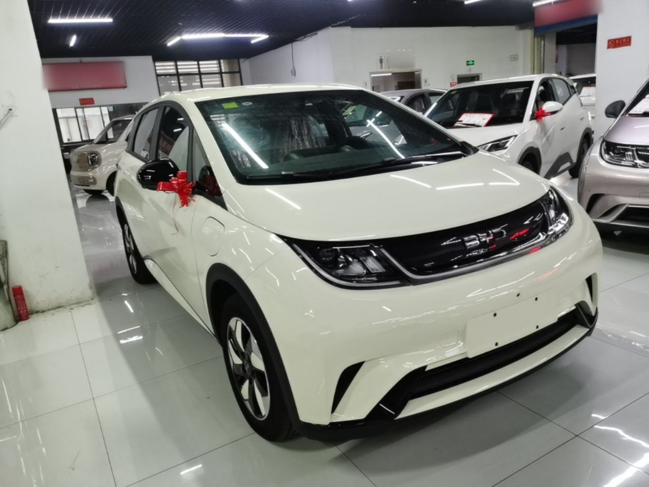 BYD Dolphin - фото 2