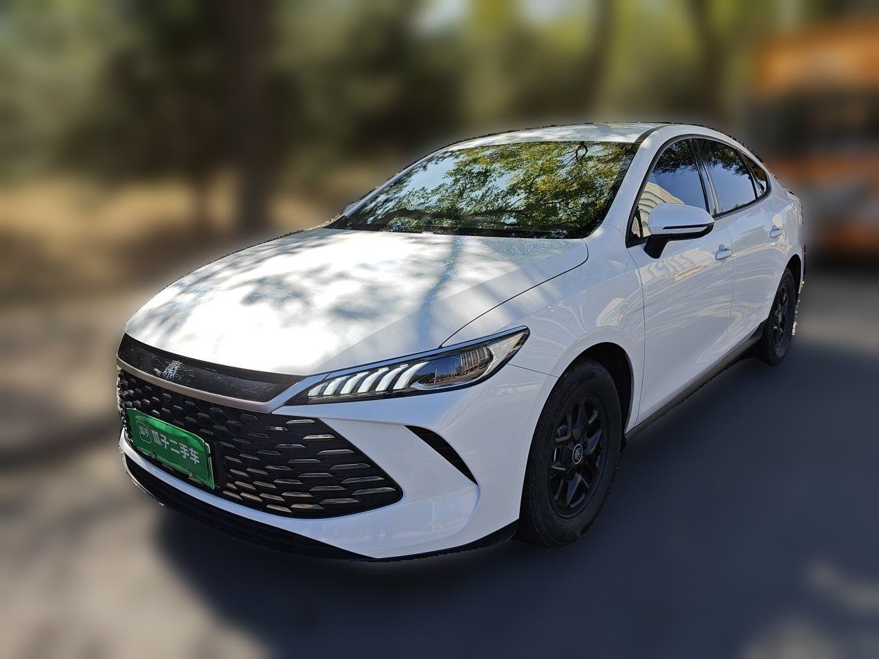 BYD Qin PLUS DM - фото 0