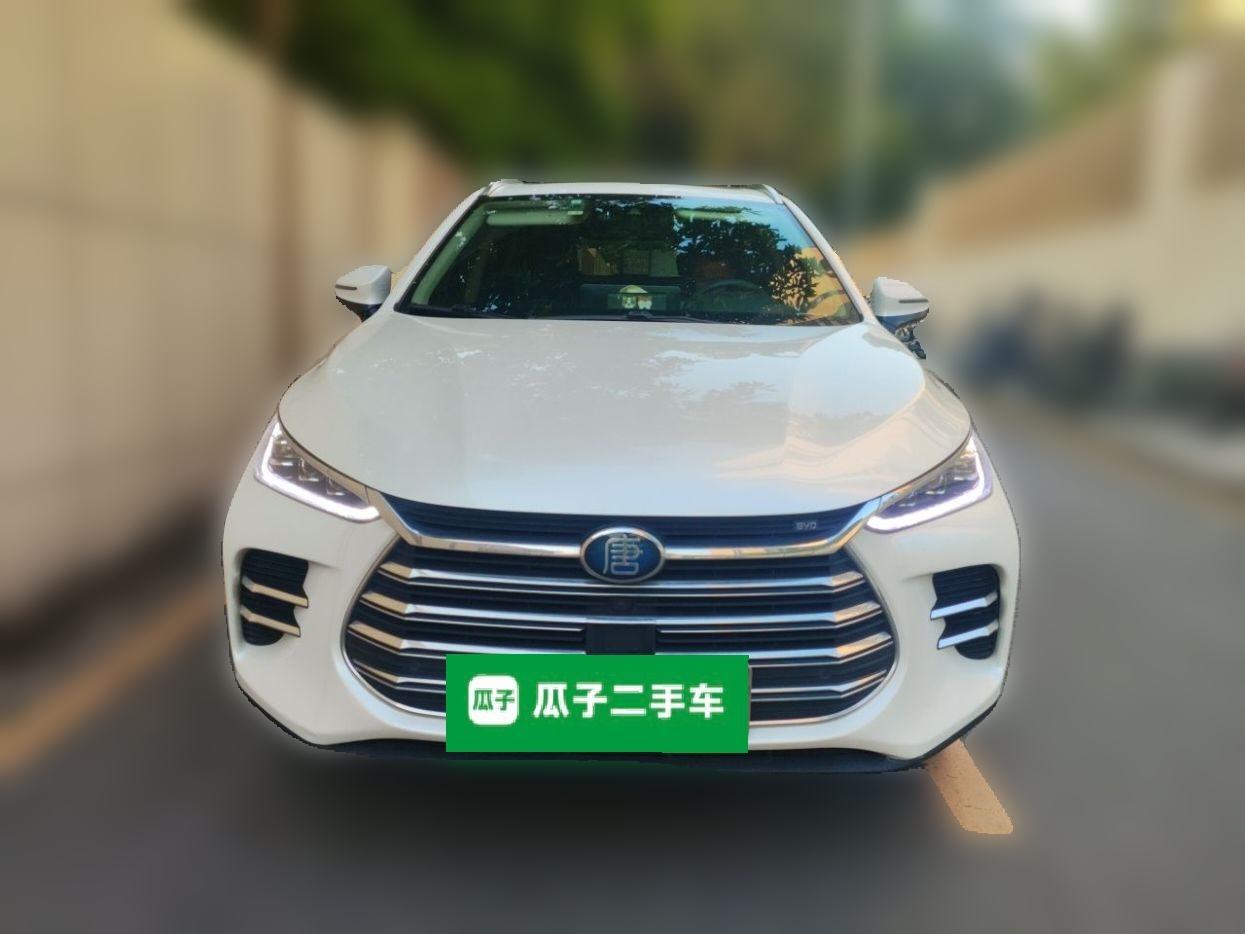 BYD Tang DM - фото 1
