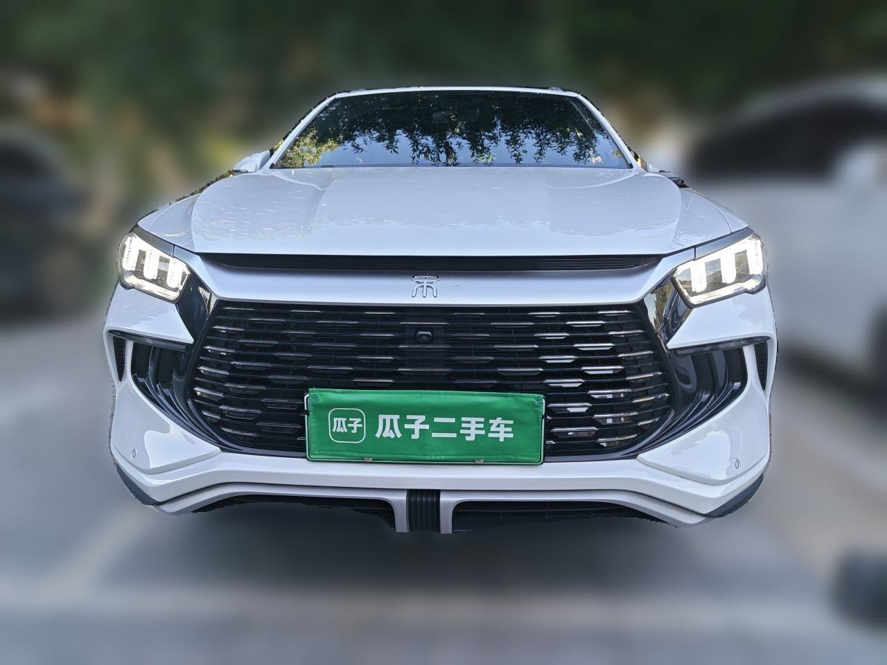 BYD Song Pro DM - фото 1